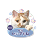 ジンク＆ミカン0026（個別スタンプ：5）
