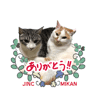 ジンク＆ミカン0026（個別スタンプ：6）