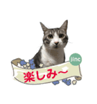 ジンク＆ミカン0026（個別スタンプ：7）