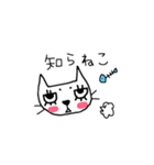 しらねこ（個別スタンプ：1）