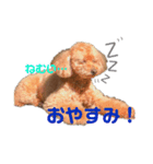 トイプのリッキー（個別スタンプ：4）