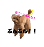トイプのリッキー（個別スタンプ：8）