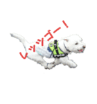 白犬 ぽっくん（個別スタンプ：2）