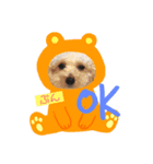 愛犬ぷん（個別スタンプ：1）