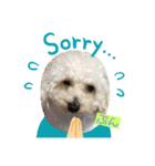 愛犬ぷん（個別スタンプ：3）