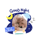 愛犬ぷん（個別スタンプ：6）
