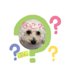 愛犬ぷん（個別スタンプ：7）