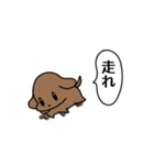 とこ軍とゆかいな仲間たち（個別スタンプ：37）