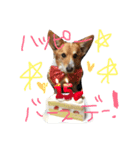 コーギー犬福ちゃん（個別スタンプ：2）