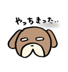 普段使いわんころりん。（個別スタンプ：5）