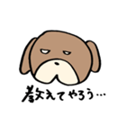 普段使いわんころりん。（個別スタンプ：8）