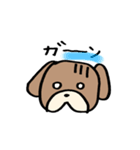 普段使いわんころりん。（個別スタンプ：12）