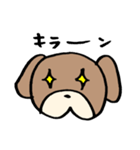 普段使いわんころりん。（個別スタンプ：13）