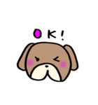 普段使いわんころりん。（個別スタンプ：14）