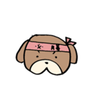 普段使いわんころりん。（個別スタンプ：17）