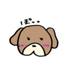 普段使いわんころりん。（個別スタンプ：19）