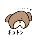 普段使いわんころりん。（個別スタンプ：23）