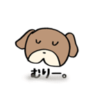 普段使いわんころりん。（個別スタンプ：34）