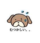普段使いわんころりん。（個別スタンプ：36）