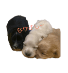 ペットたちー（個別スタンプ：7）