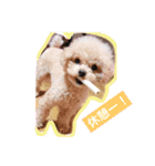 おとぼけてんし01（個別スタンプ：1）