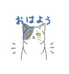 表情の多い猫（個別スタンプ：1）