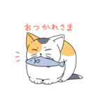 表情の多い猫（個別スタンプ：3）