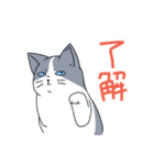 表情の多い猫（個別スタンプ：4）