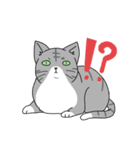 表情の多い猫（個別スタンプ：8）