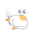 表情の多い猫（個別スタンプ：12）