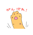 表情の多い猫（個別スタンプ：13）