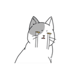 表情の多い猫（個別スタンプ：15）