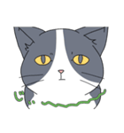 表情の多い猫（個別スタンプ：16）