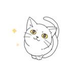 表情の多い猫（個別スタンプ：19）