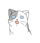 表情の多い猫（個別スタンプ：20）