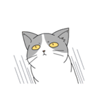 表情の多い猫（個別スタンプ：21）