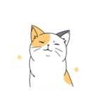 表情の多い猫（個別スタンプ：24）