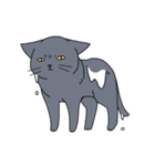 表情の多い猫（個別スタンプ：31）