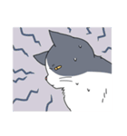 表情の多い猫（個別スタンプ：37）