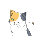 表情の多い猫（個別スタンプ：38）