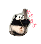 ゆるり日常会話(*´꒳`*)（個別スタンプ：2）