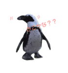 ゆるり日常会話(*´꒳`*)（個別スタンプ：4）