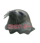 ゆるり日常会話(*´꒳`*)（個別スタンプ：7）