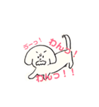 愛犬あんのスタンプ（個別スタンプ：1）