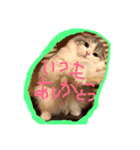 うちの子MRTー関西弁（個別スタンプ：8）