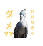 無関心どうぶつ（個別スタンプ：6）
