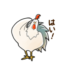 にわとりさん。（敬語編）（個別スタンプ：2）