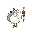 にわとりさん。（敬語編）（個別スタンプ：10）
