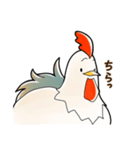 にわとりさん。（敬語編）（個別スタンプ：12）