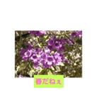 春夏秋冬だねぇ（個別スタンプ：2）